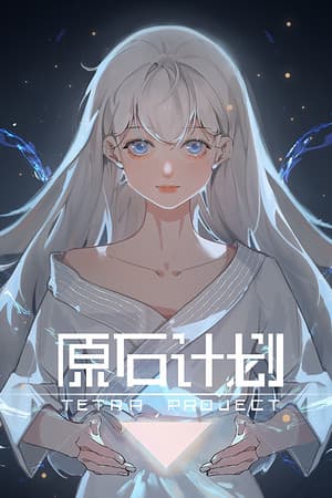 Tetra Project - 原石计划