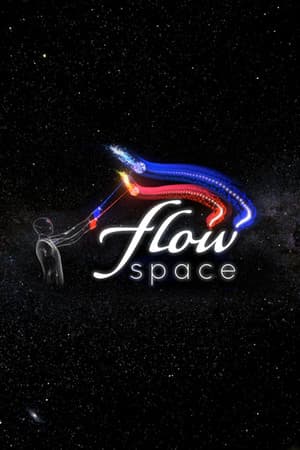 Flow Space