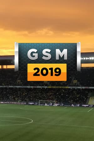 Global Soccer: A Management Game 2019