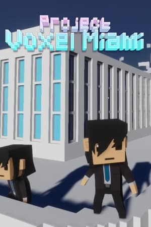 Project Voxel Miami