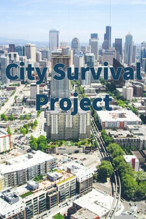城市生存计划 / City Survival Project