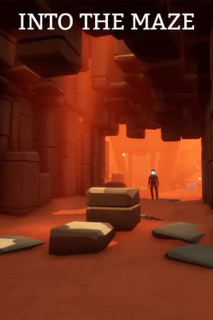 Into The Maze