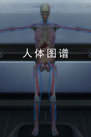 人体图谱
