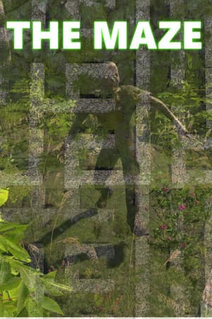 The Maze