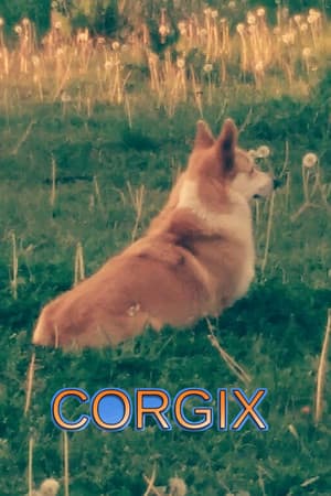 CORGIX