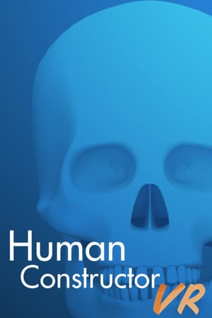 Human Constructor VR