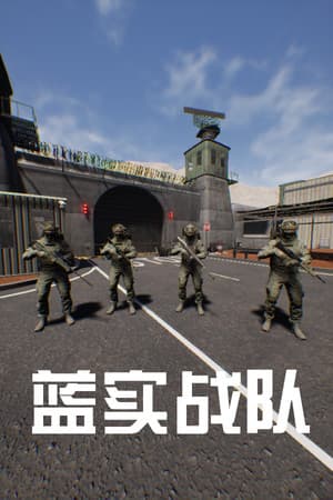 蓝实战队