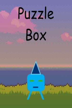 Puzzle Box