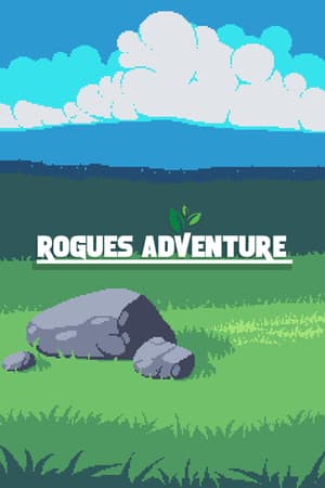 Rogues Adventure