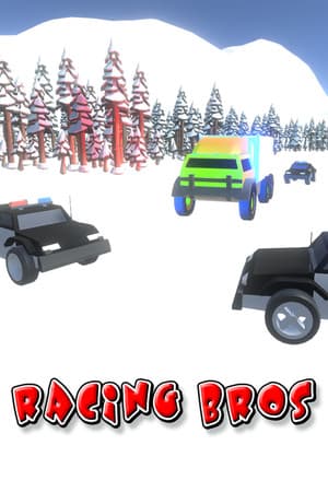 RACING BROS: ONLINE