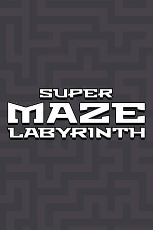 Super Maze Labyrinth
