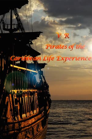VR Pirates of the Caribbean Life Experience