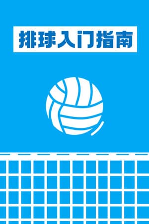 排球入门指南