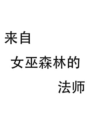 来自女巫森林的法师