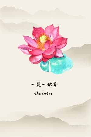 一花一世界 | The Lotus