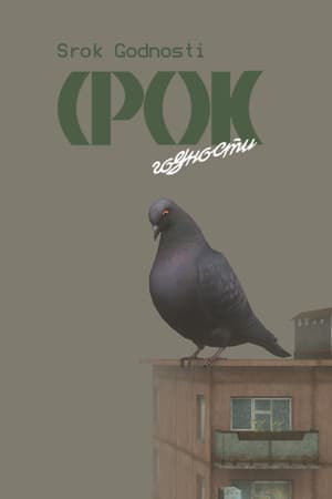 Srok Godnosti