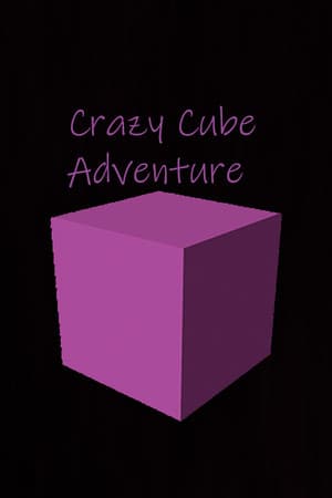 Crazy Cube Adventure