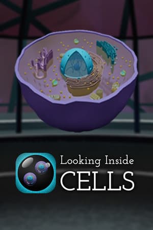 Looking Inside Cells