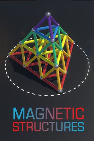 Magnetic Structures