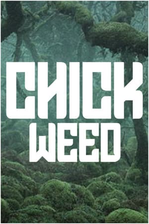 CHICKWEED