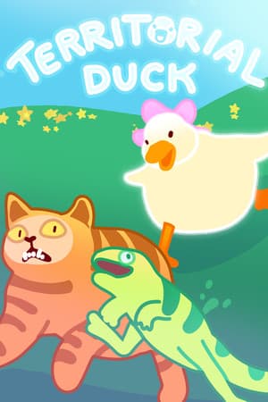 Territorial Duck
