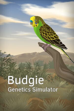 Budgie Genetics Simulator