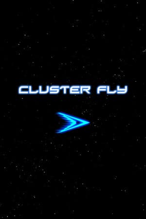 Cluster Fly