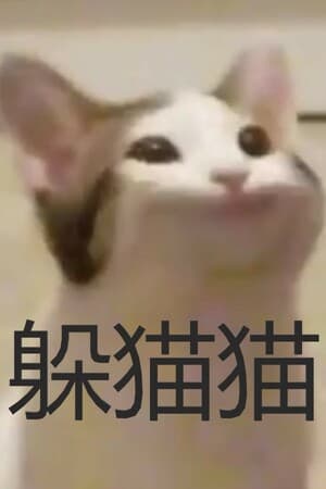 cat and rat