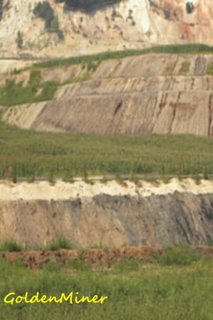 GoldenMiner