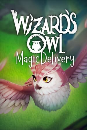 Wizards Owl: Magic Delivery