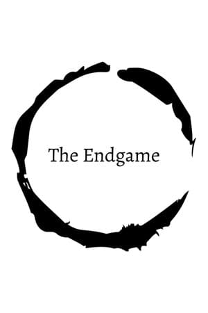 The Endgame