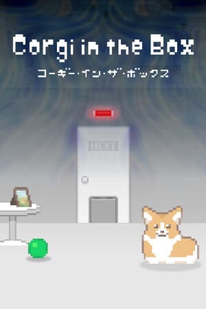 Corgi in the Box