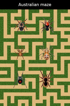 Australian maze