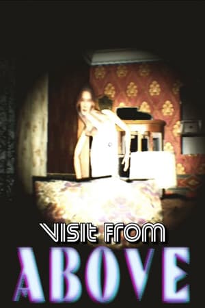 Visit From Above-Early Access