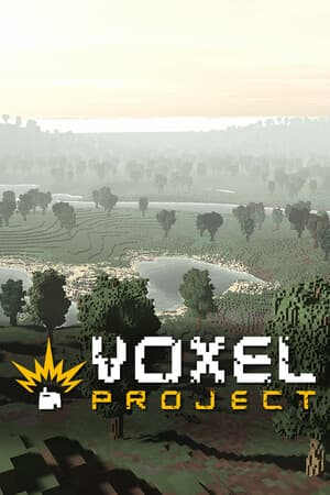 Voxel Project VR