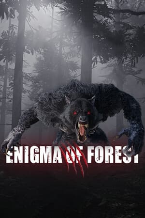 Enigma Of Forest