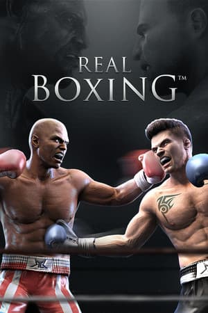 Real Boxing™
