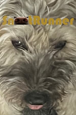 Snoot Runner