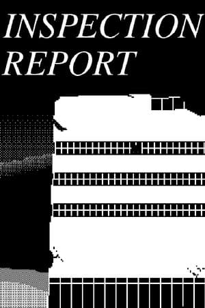 INSPECTION REPORT