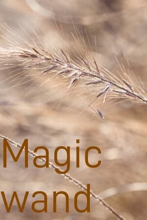 Magic wand