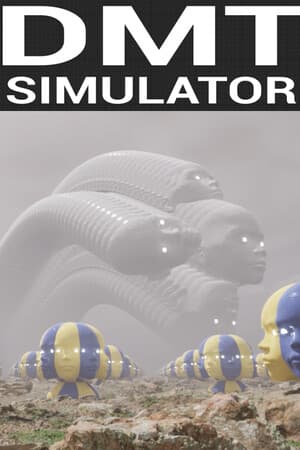 DMT Simulator