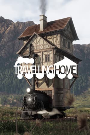 Travelling Home