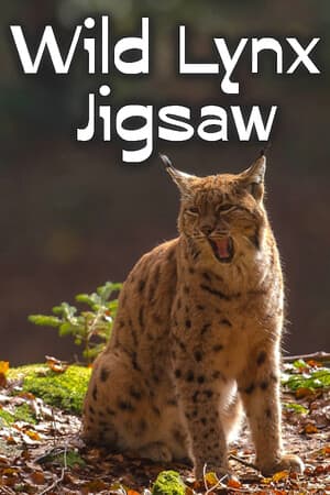 Wild Lynx Jigsaw
