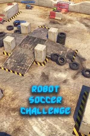 Robot Soccer Challenge