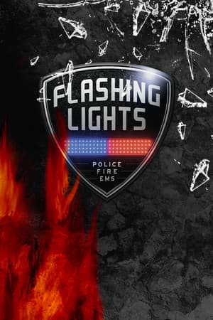Flashing Lights - Police, Firefighting, Emergency Services (EMS) Simulator