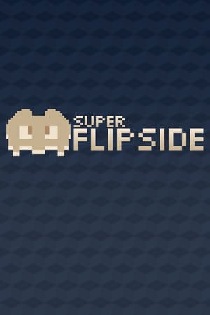 Super Flipside