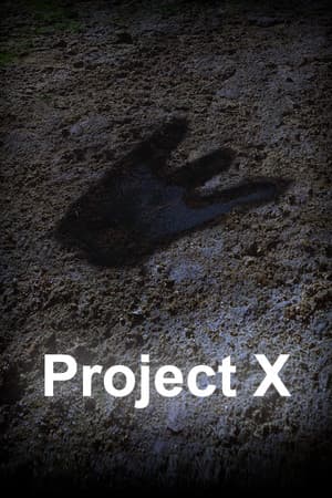 Project X