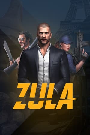 Zula Global