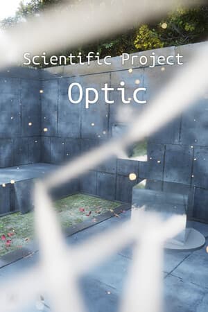 Scientific project: Optic