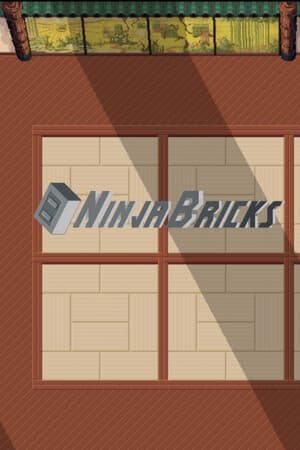 Ninja Bricks